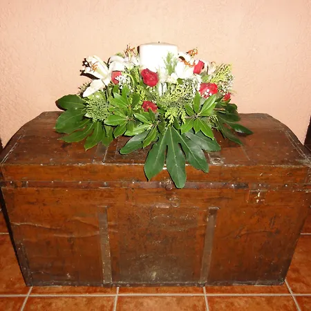 Sintrivanis Mountain ゲストハウス