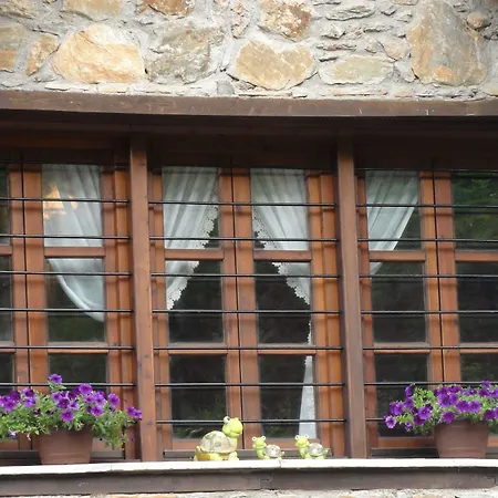 ゲストハウス Sintrivanis Mountain