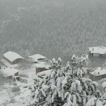 Sintrivanis Mountain 3* Ano Skotina