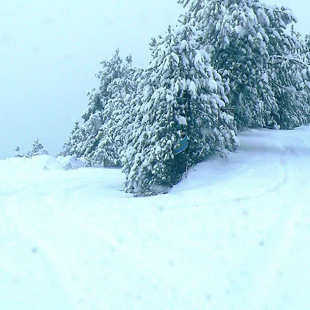 Sintrivanis Mountain 3*