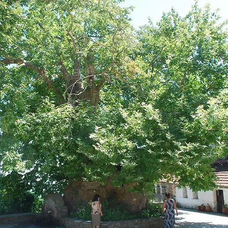 Sintrivanis Mountain בית הארחה