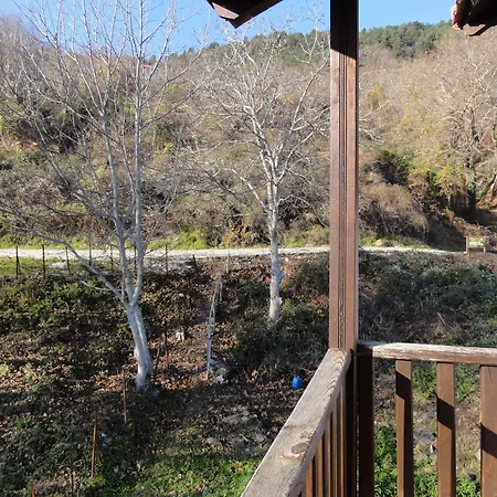 Sintrivanis Mountain 3* Áno Skotína