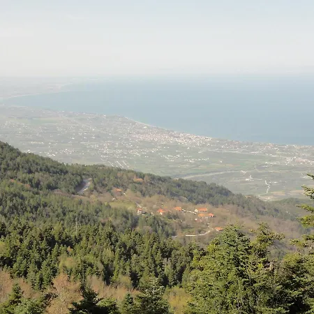 Pensiune Sintrivanis Mountain