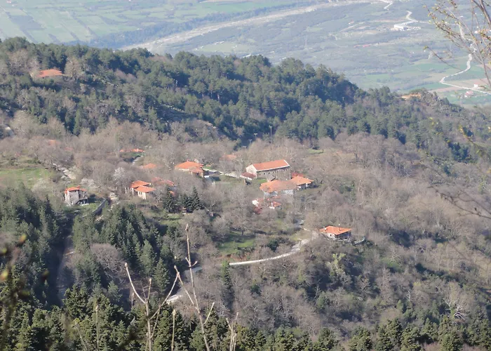 Pensjonat Sintrivanis Mountain