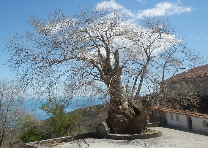 Sintrivanis Mountain Ano Skotina
